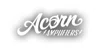 Acorn Amplifier Coupons